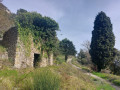 Ruine dans le vallon du Borrigo