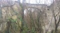 Ruine de la ferme de Grainval
