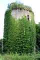 Ruine du donjon du château de Courcenay