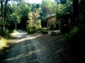 Ruine