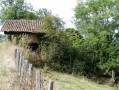 Ruine