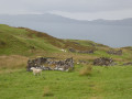 Auliston Point