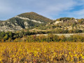 Ruines de Béconne