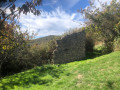 Ruines de ferme
