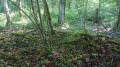 Ruines de l'ermitage