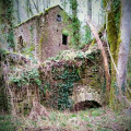 Ruines de l'habitation et du Moulin de Penthiès