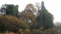 Ruines de Rustéphan