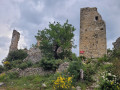 Ruines du castel