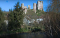 Ruines du Château d'Hérisson