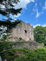 Ruines du château de Birkenfels