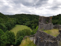 Ruines du château de Montaigle