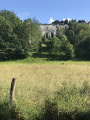 Ruines du Chateau de Montgoger