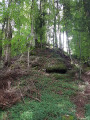 Ruines du chateau