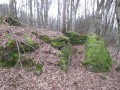 Ruines du vieux village de Hommert
