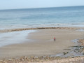 ruines pêcherie de Padel