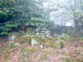 Ruines