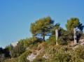 Ruines