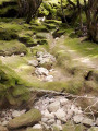 Ruisseau à sec