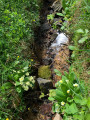 Ruisseau charmant