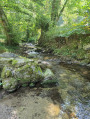 Ruisseau d'Arnave