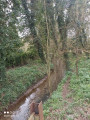 Ruisseau de caucourt