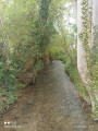Ruisseau de caucourt