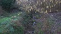 Ruisseau de Combs