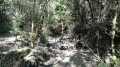 Ruisseau de Fontjalla à sec Ruisseau de Fontjalla à sec