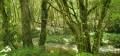 Ruisseau de Gaycre