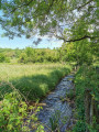 Ruisseau de Gonas