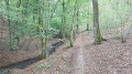 Ruisseau de l'Etang du Diable dans le Bois du Grand Fréchy