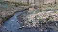 Ruisseau de l'Etang du Diable Ruisseau de l'Etang du Diable