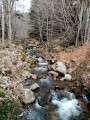 Ruisseau de la Bretonnière