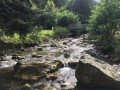 Ruisseau de la Courbière