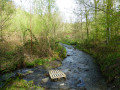 Ruisseau de la Liresse