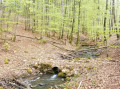 Ruisseau de la Noue