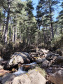 Ruisseau de Melaghjia
