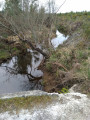 Ruisseau de Mourdouat