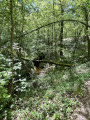 Petite boucle dans la Forêt du Mas-d'Agenais Petite boucle dans la Forêt du Mas-d'Agenais