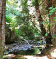 Ruisseau de Piedipartinu