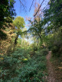 Ruisseau de Rivrolles