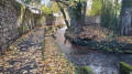 Ruisseau de Robache