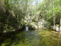 Ruisseau de Ronglon