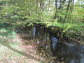 Ruisseau des Anorelles Ruisseau des Anorelles
