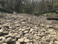 Ruisseau des Echets Ruisseau des Echets