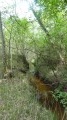 Ruisseau des Veillas