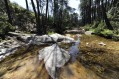 Der Wasserfall von Piscia di Gallu