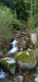 Ruisseau du Boon Pommier