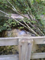Ruisseau du Coulin