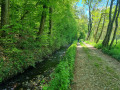 Ruisseau du Moulin Ruisseau du Moulin